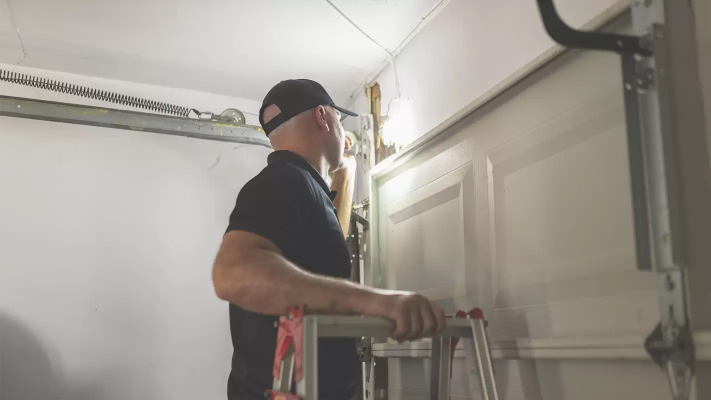 Guaranteed Pest Control Results to Stop the Infestation in Mechanicsburg, PA