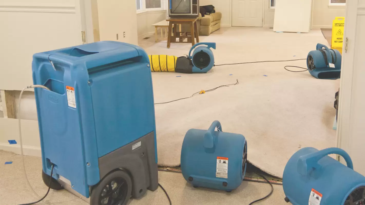 Water Clean up Services to Reduce Moisture Damage