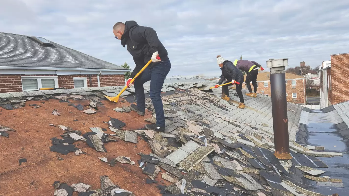 Affordable Residential Roofing Where Beauty Meets Resilience