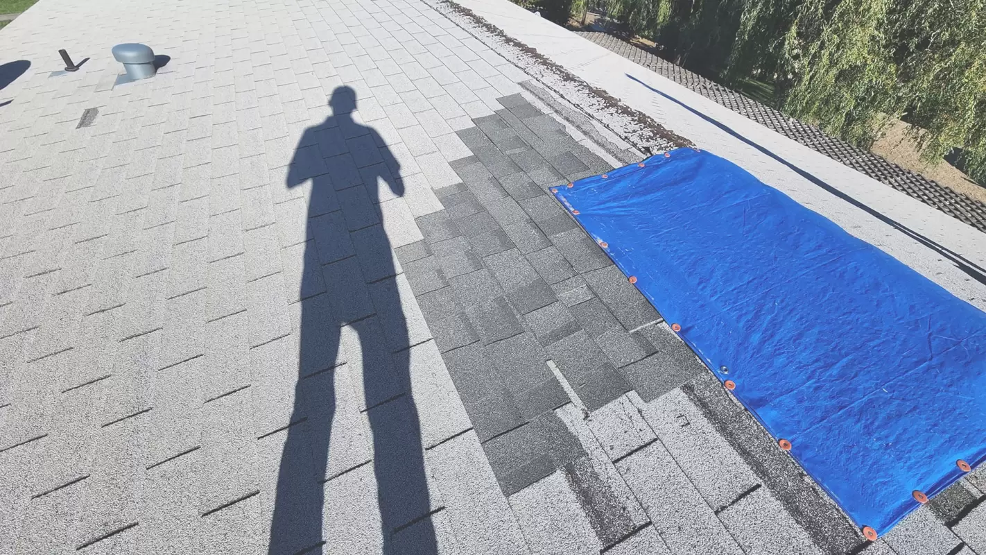 Expert Shingle Roof Installation Services In Nampa, ID