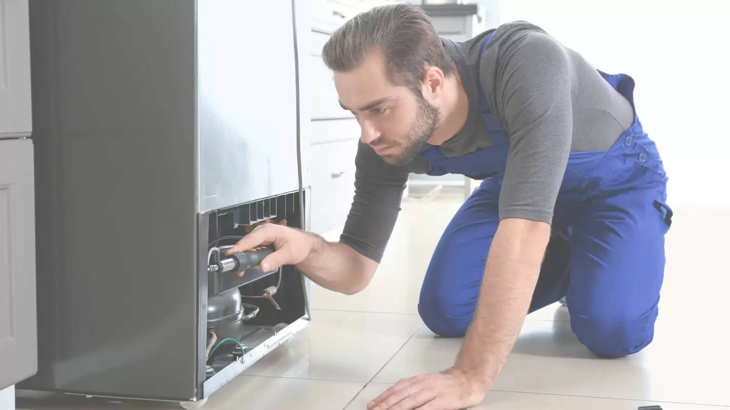 Professional Refrigerator Repair Services because Your Home Deserves the Best