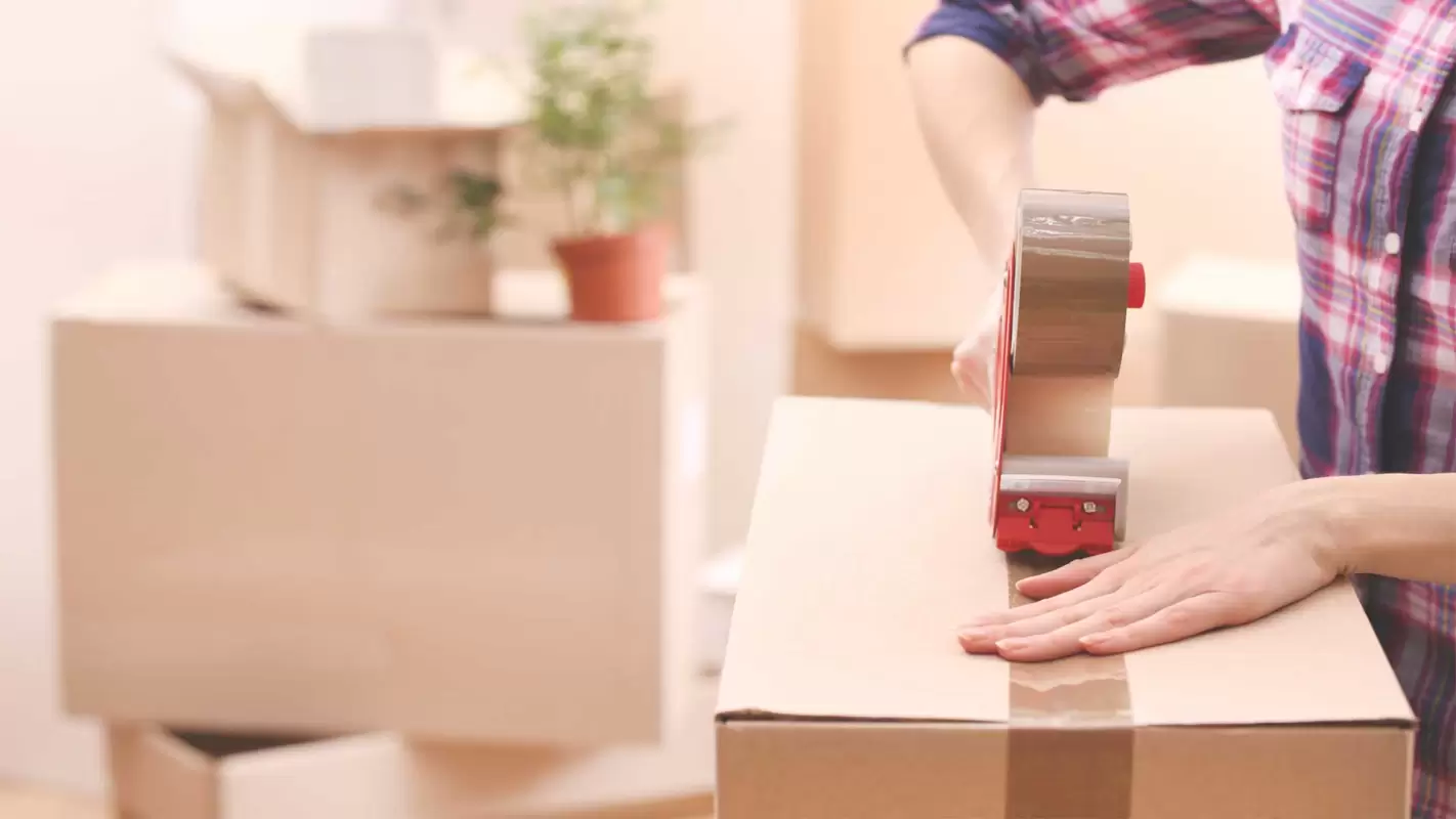 Your Precious Cargo Deserves Professional Packing Services