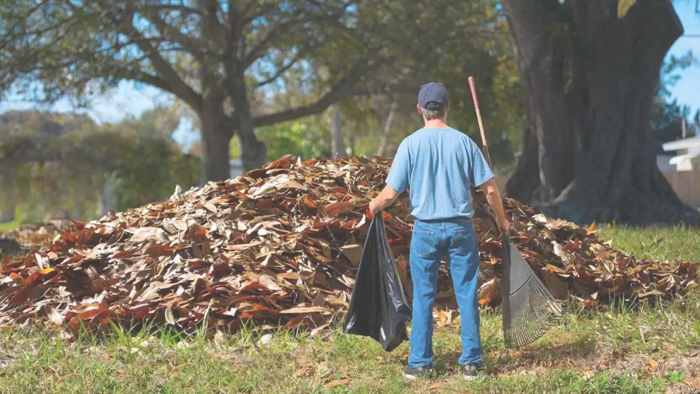 When it Comes to Yard Cleaning, we are the Best! in Greensboro, NC