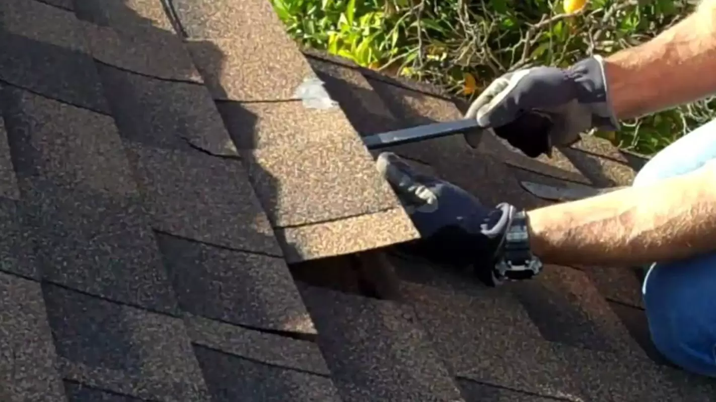 Residential and Commercial Roof Repairs & Replacement at Your Service