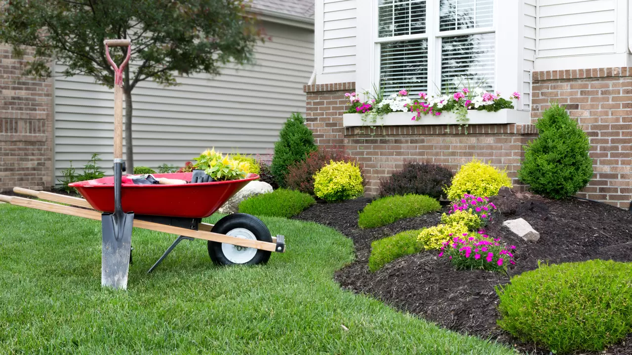 Landscaping Services That Create Stylish Outdoor Spaces in Gulfport, FL