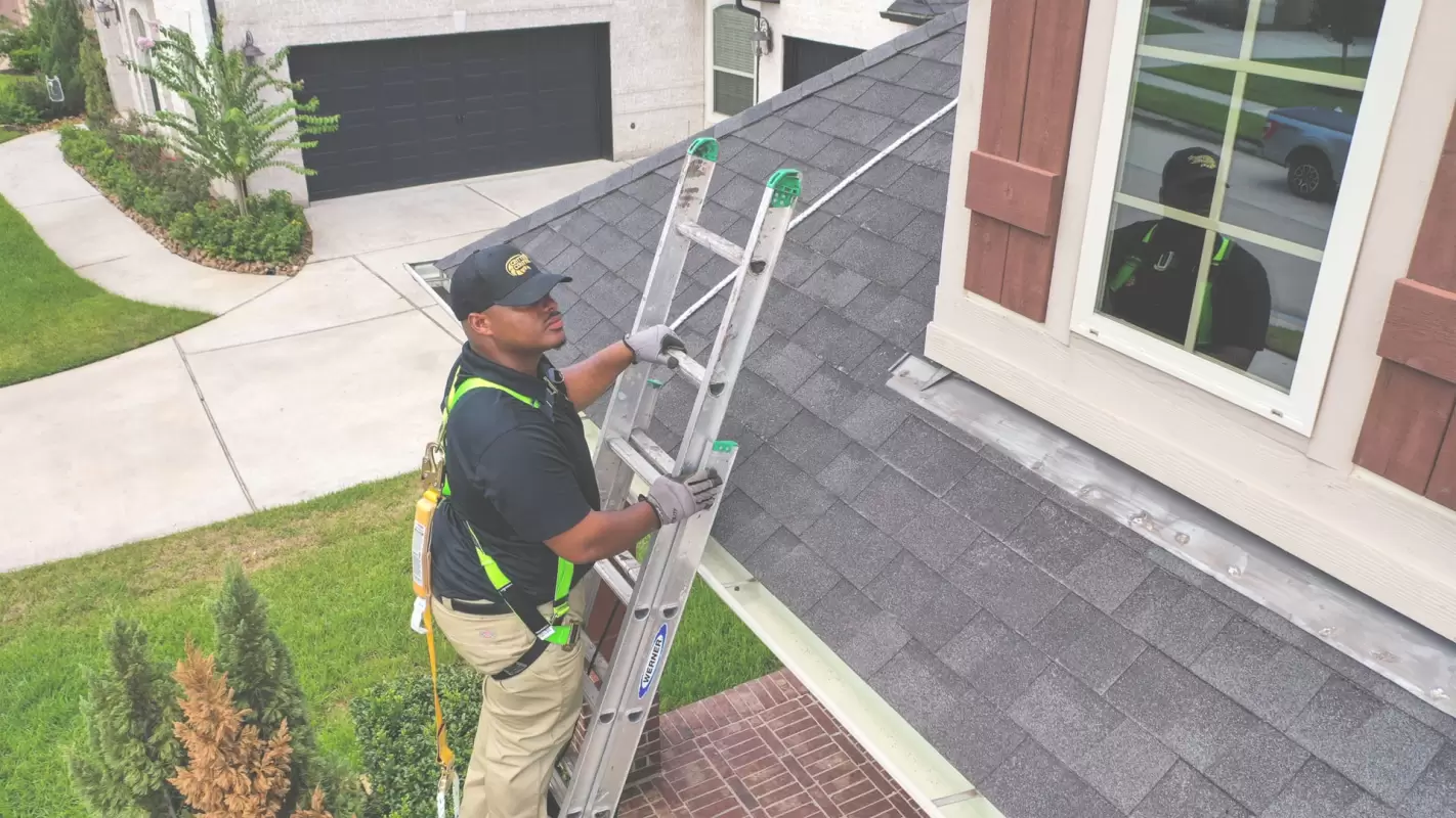 Trusted Pest Removal Experts: We Safeguard Your Property