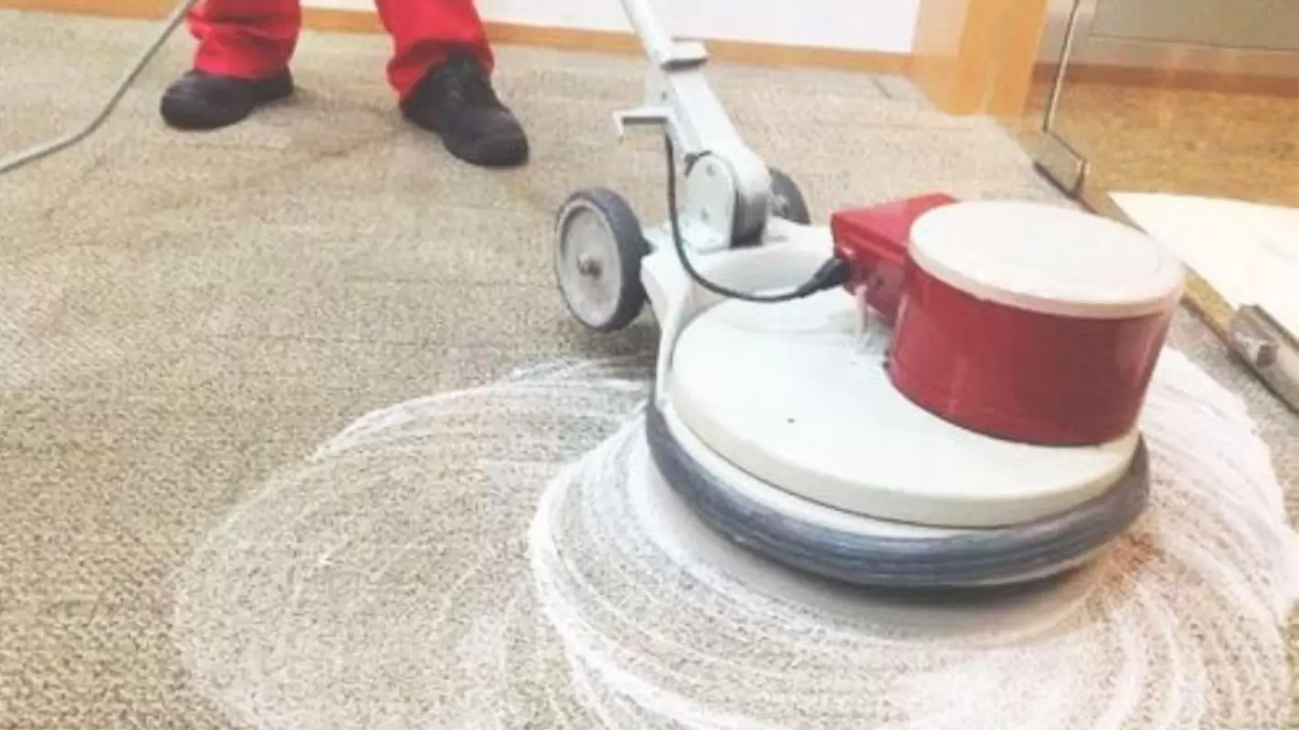 Contact Our Company for Carpet Shampooing: