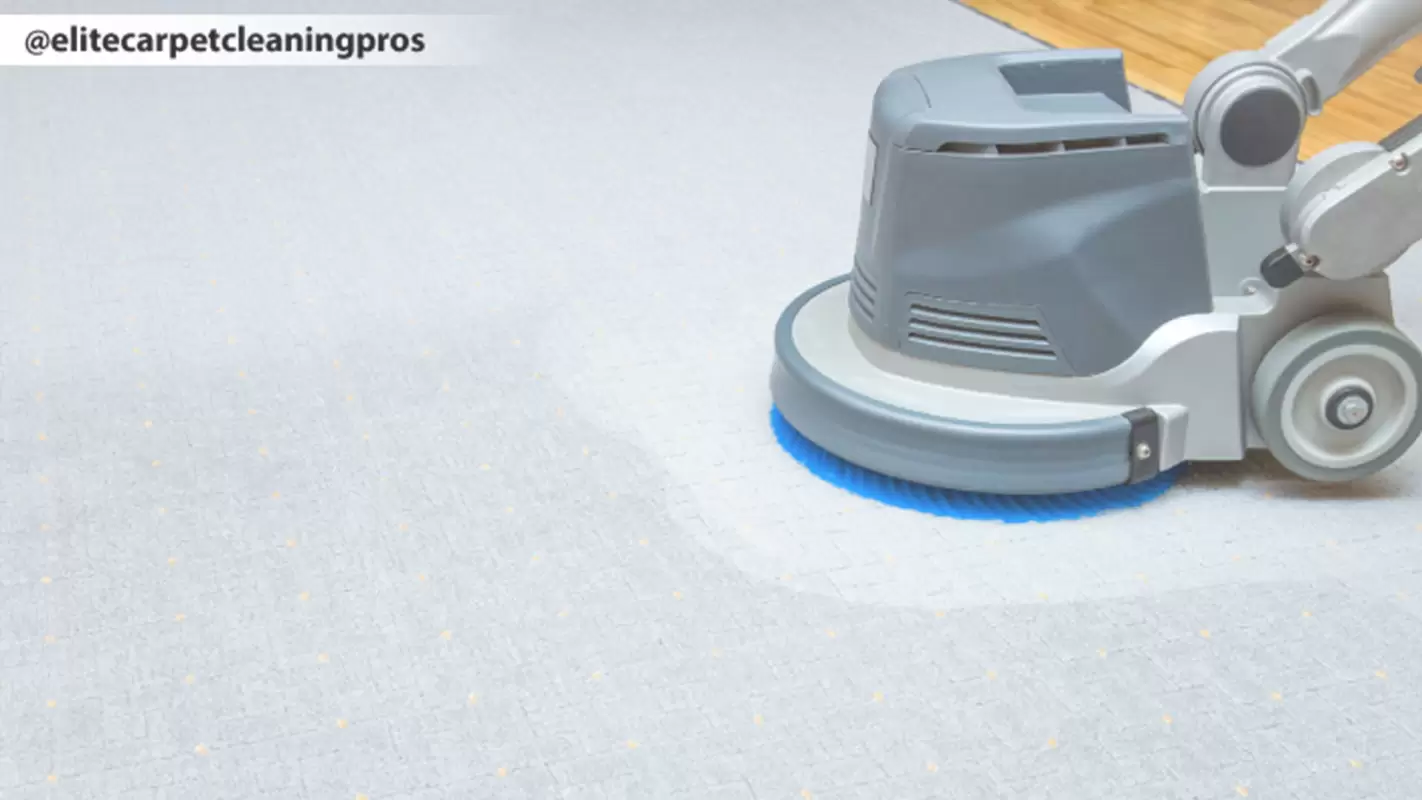 Gleaming Carpet Cleaning Perfected!