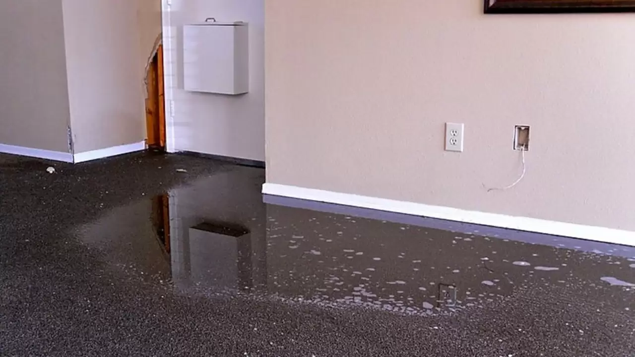 Emergency Water Damage Restoration That Restores Your Home and Peace of Mind in Denver, CO