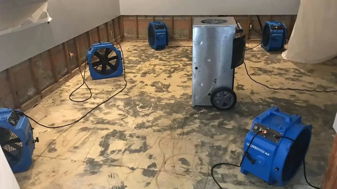 We are Among the Best Water Damage Repair Companies in Thornton, CO