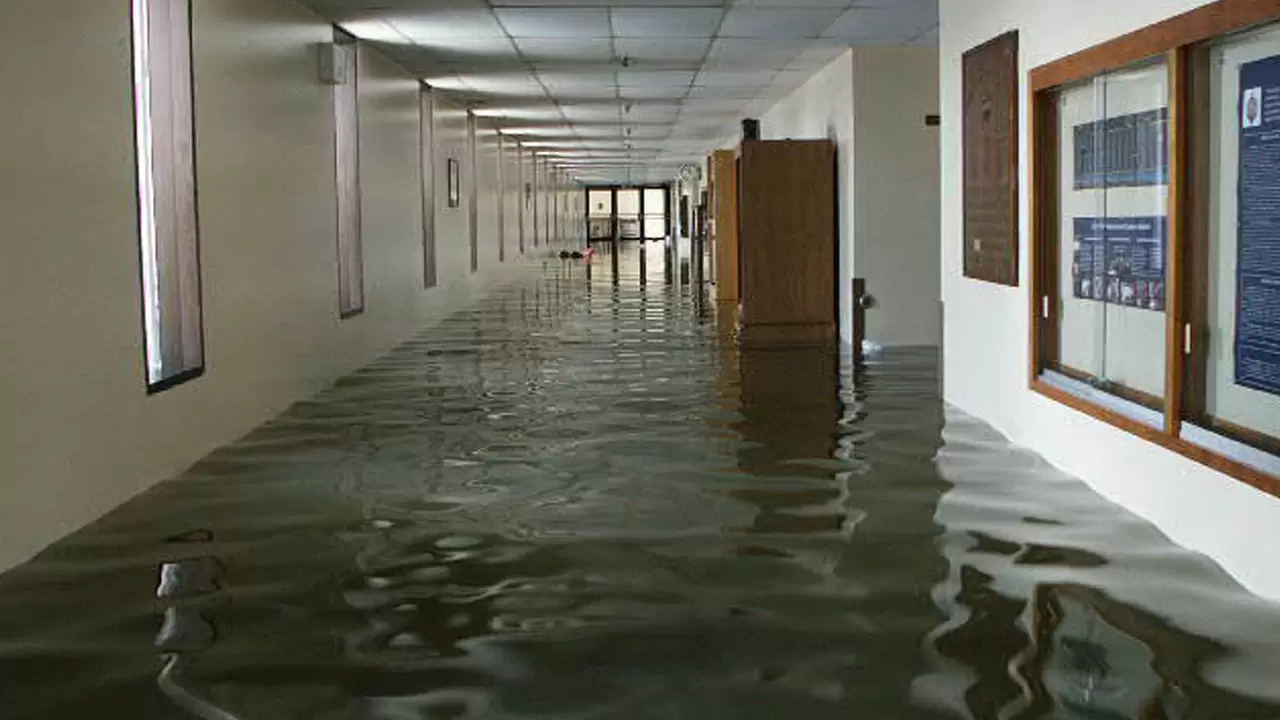 Commercial Water Damage Services- No Water Damage is Too Big or Small For Us in Littleton, CO
