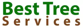 Best Tree Services Are Reliable in Tarzana, CA