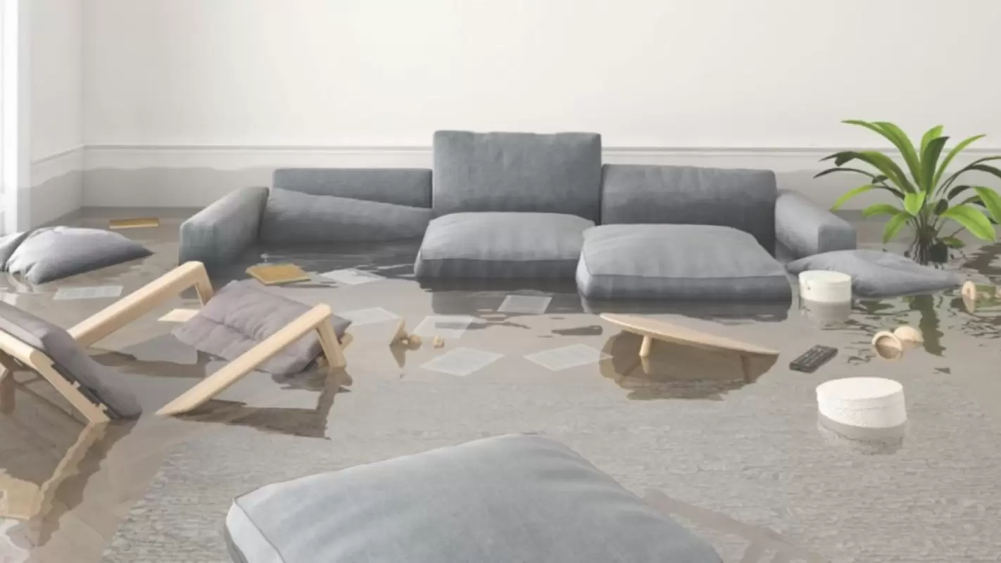 We Are Leaders in Comprehensive Water Damage Repair