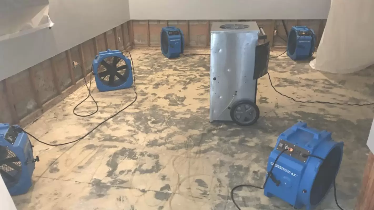 Rapid Response Emergency Water Cleanup Service