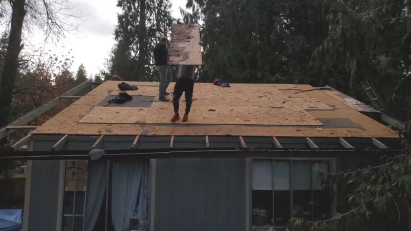 Emergency Roof Repairs That Don’t Overlook any Roofing Disorder in Bellevue, WA