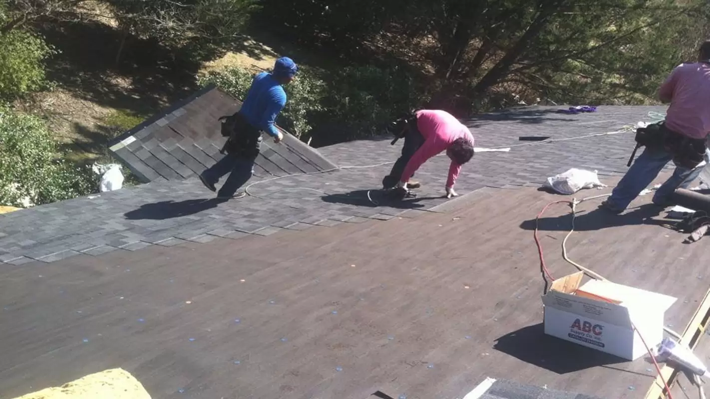 Experience Excellence with the Best Roofing Services