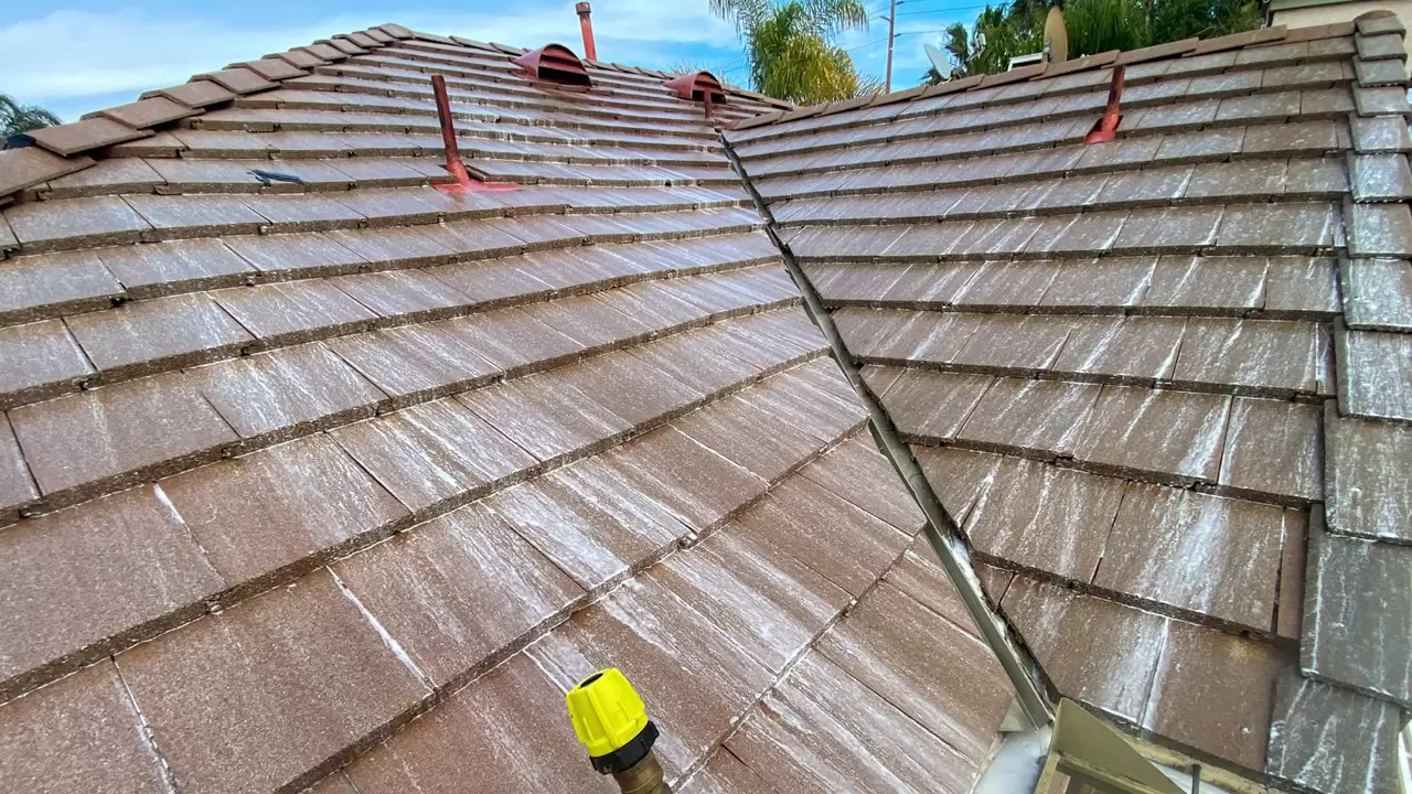 Discover the Best Power Washing Near Me