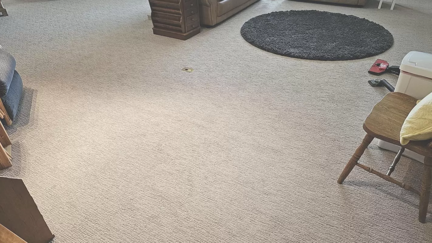 Our carpet cleaning services will bring shine to your carpets