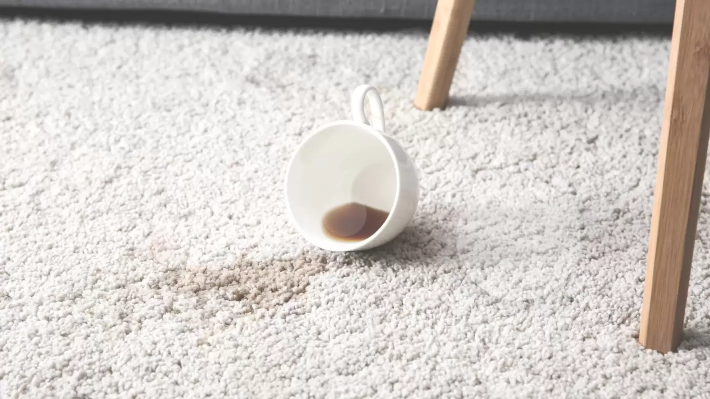 Your carpets will look remarkable with our stain removal services
