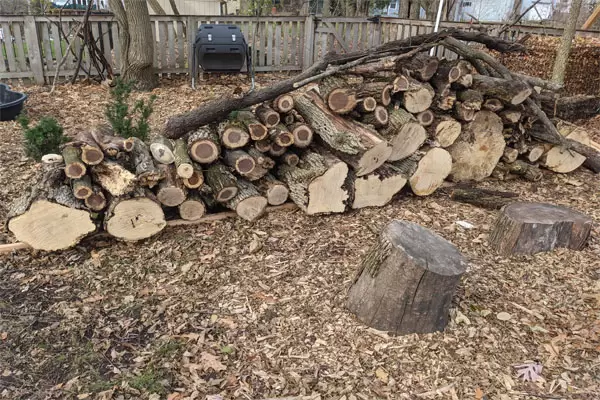 Find Your Fuel: Firewood Near Me