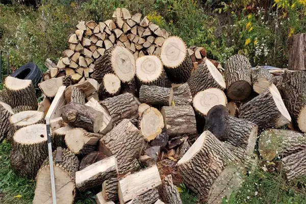 Superior quality ash firewood for long-duration heating