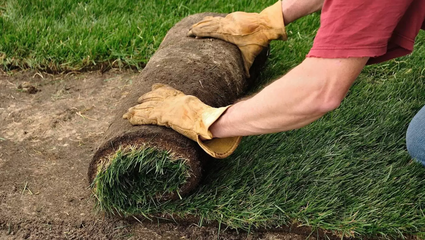 SOD Installation for Immediate Soil Erosion! in Lewisville, TX