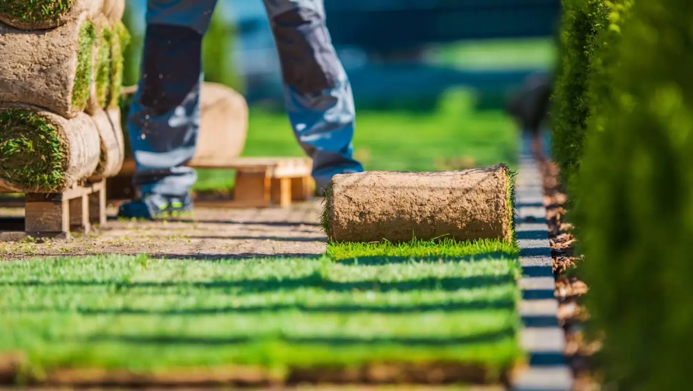 SOD Installer Offering Years of Experience! in Lewisville, TX