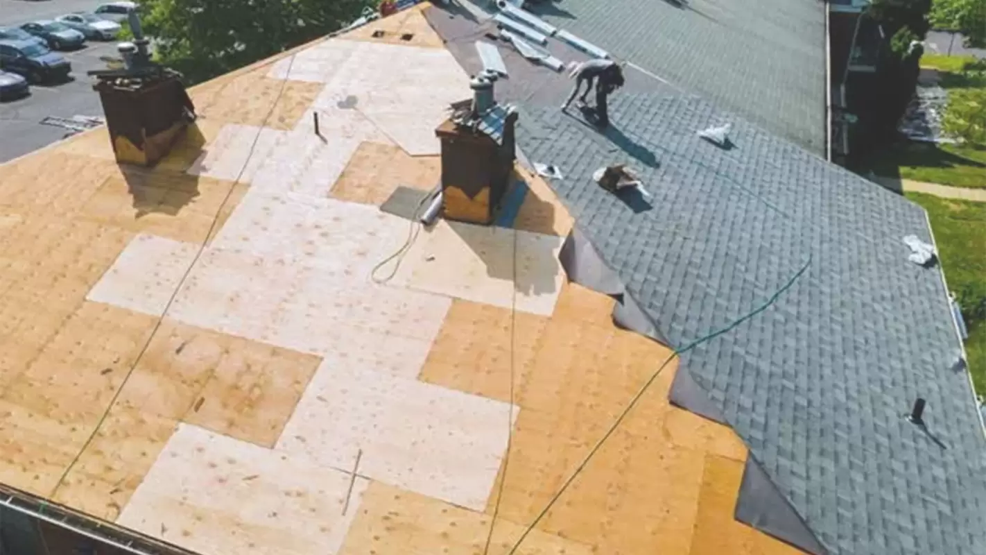 Highly professional roofing service delivering quality outcomes