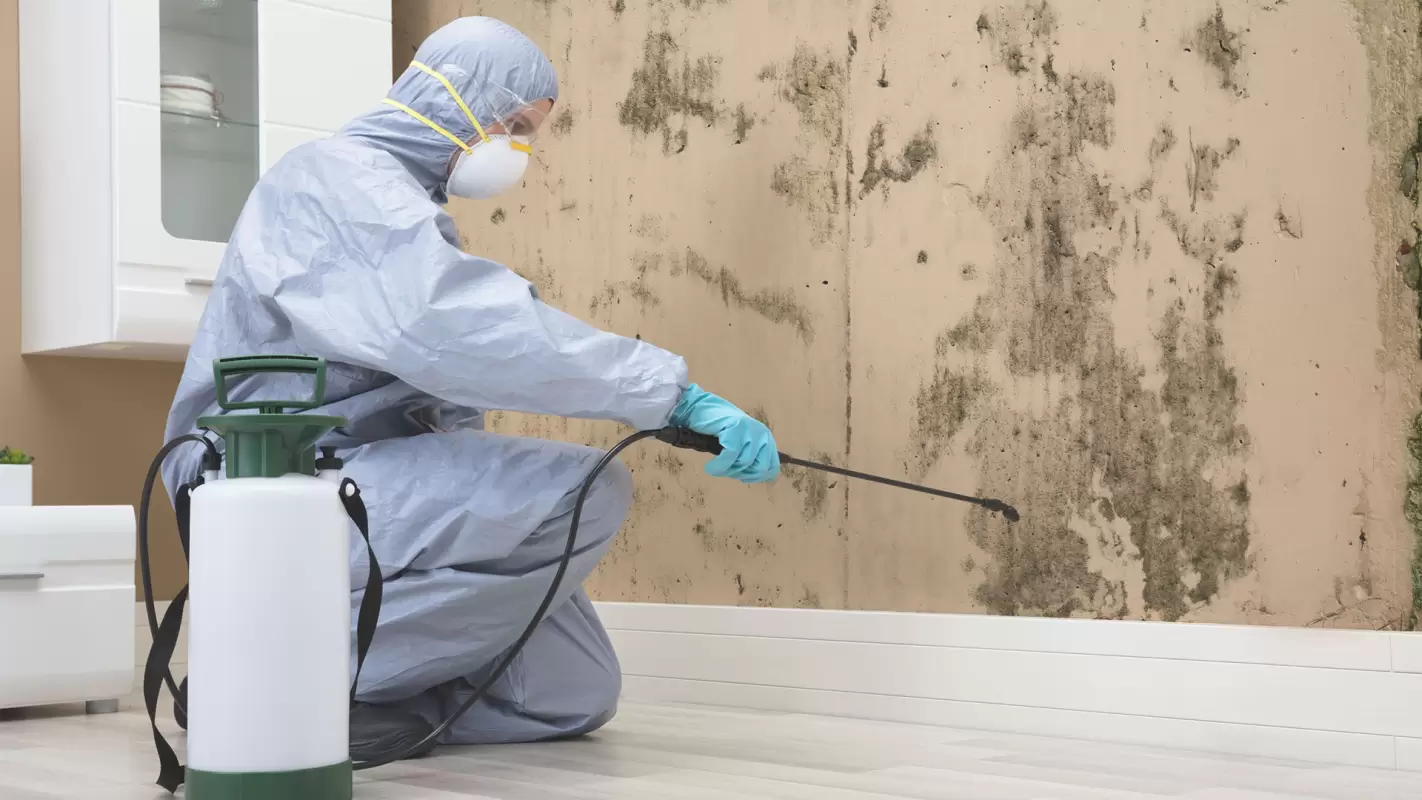 Residential Mold Remediation to Enjoy Mold-Free Environment!