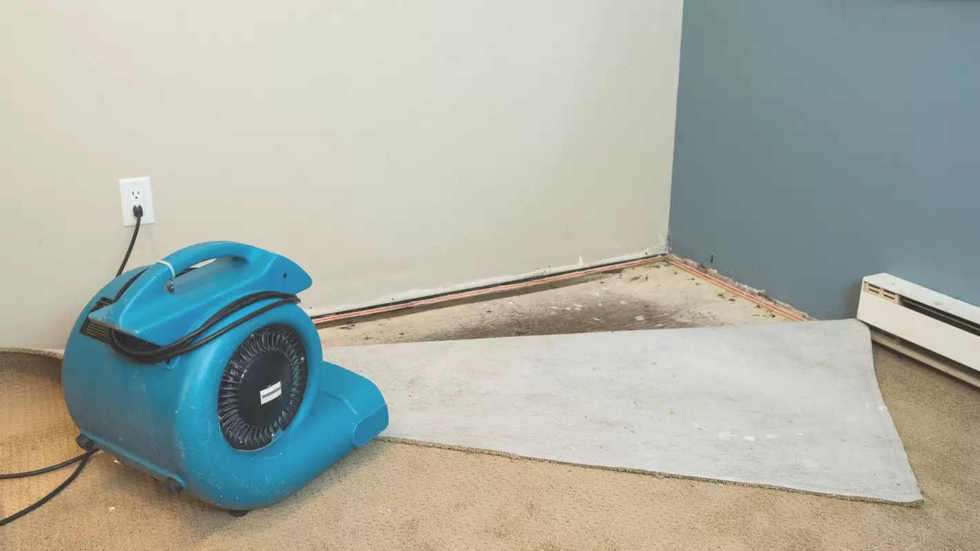 Wet Carpet Cleanup Services to Prevent Mildew!