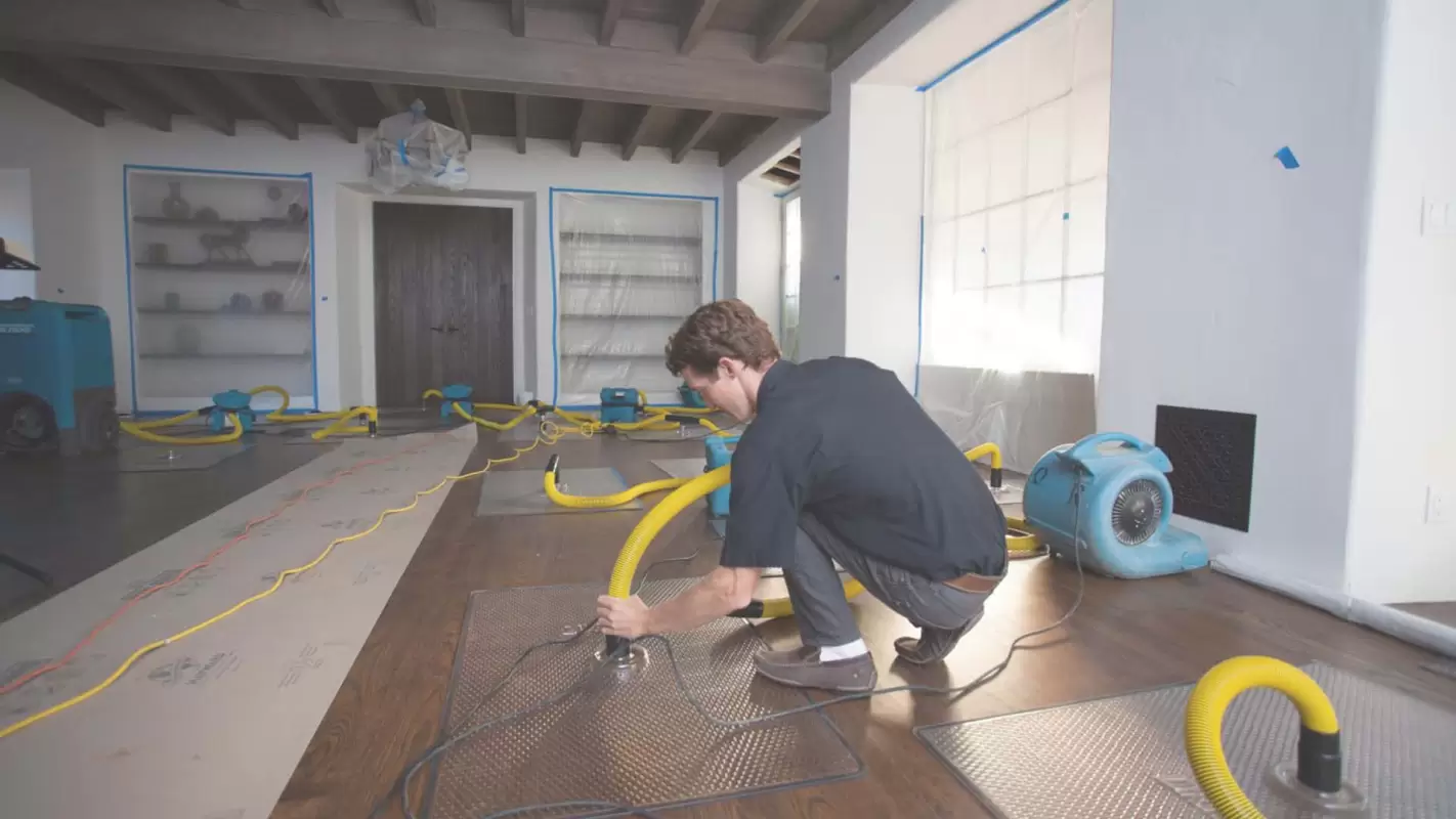 Rise from the Waters: Expert Water Damage Restoration