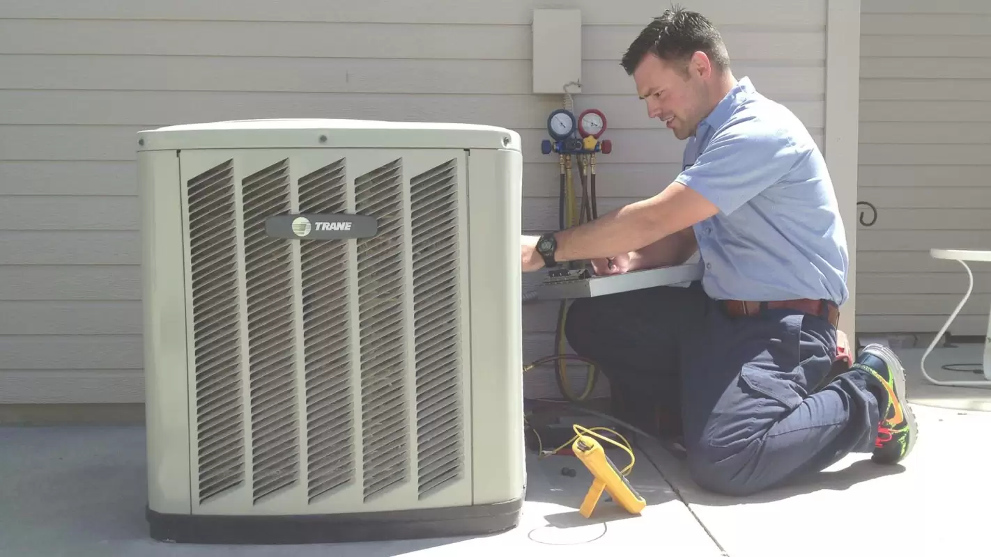 Year-Round Comfort: Expert HVAC Services