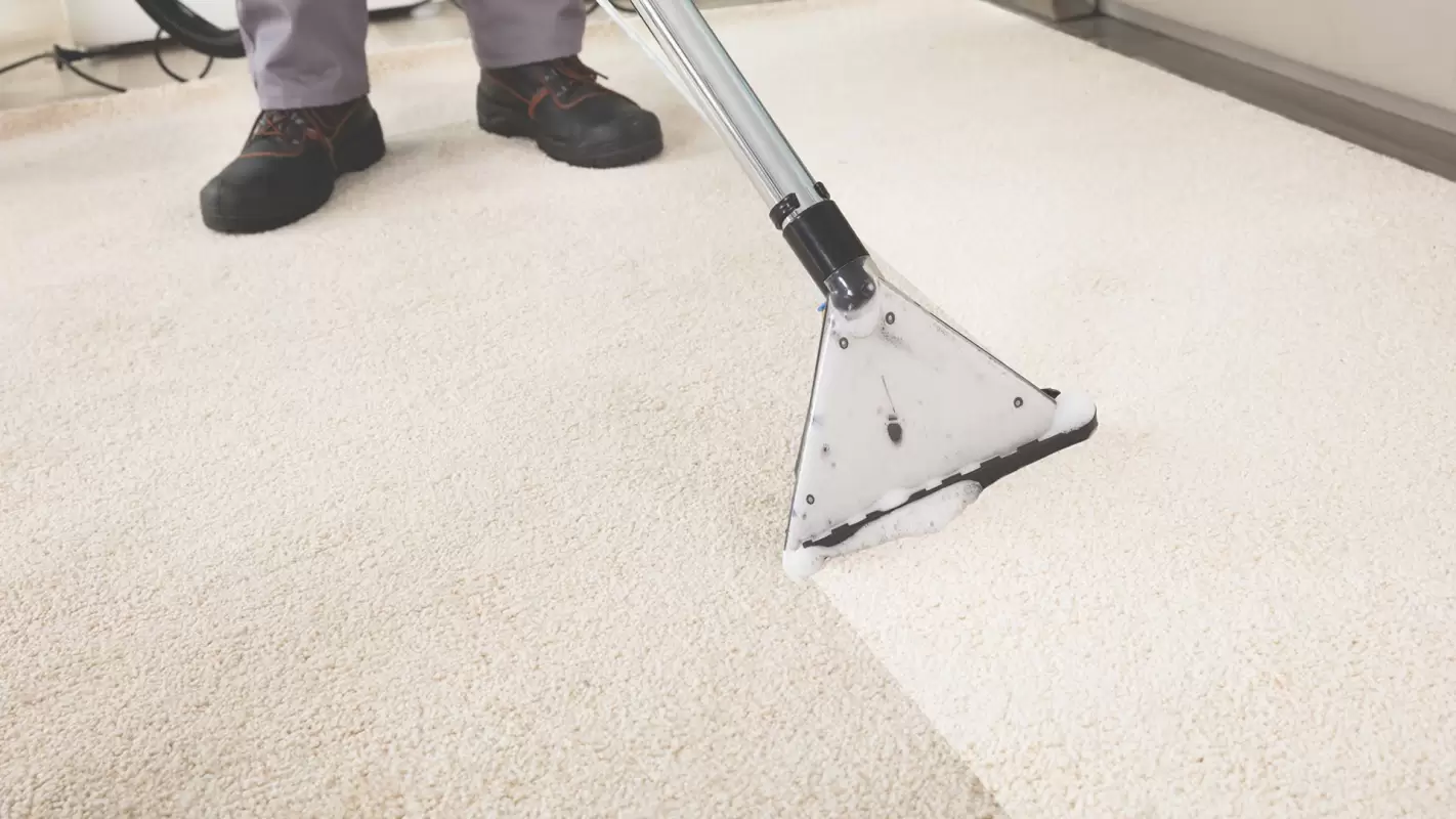 Disadvantages of not getting a professional carpet cleaning service.