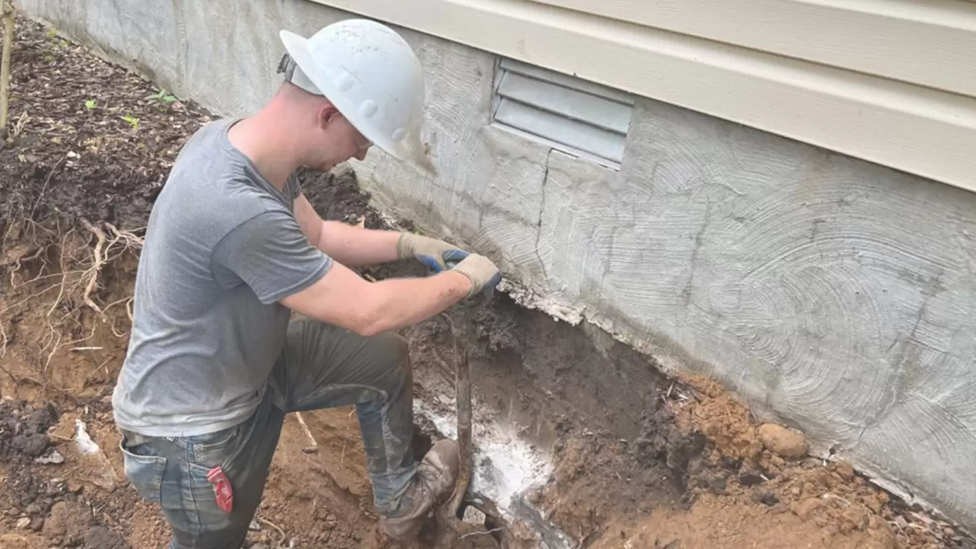 Damp Walls Services Restore Your Foundation’s Glory