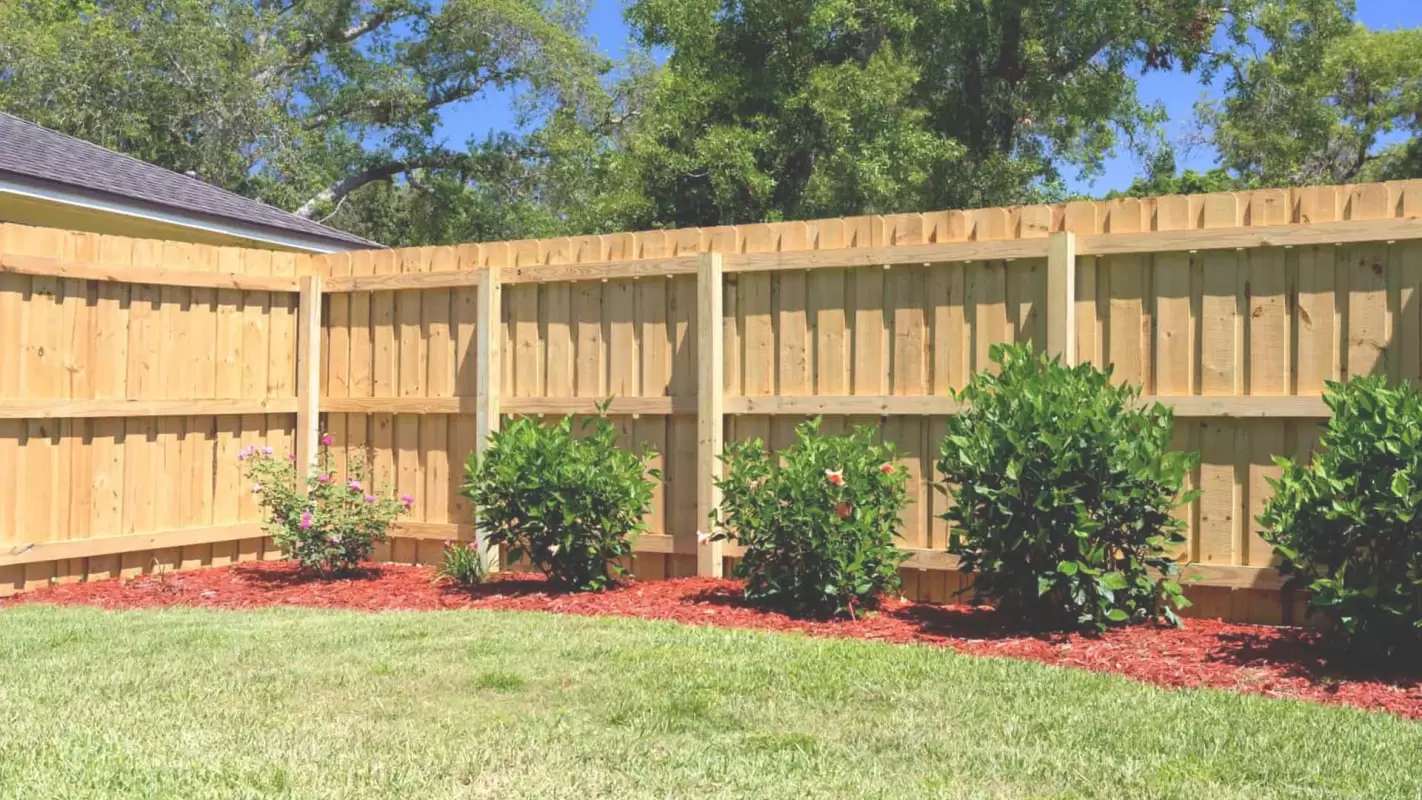 Fence Builders Near Me To Create A Safe And Stylish Outdoor Oasis