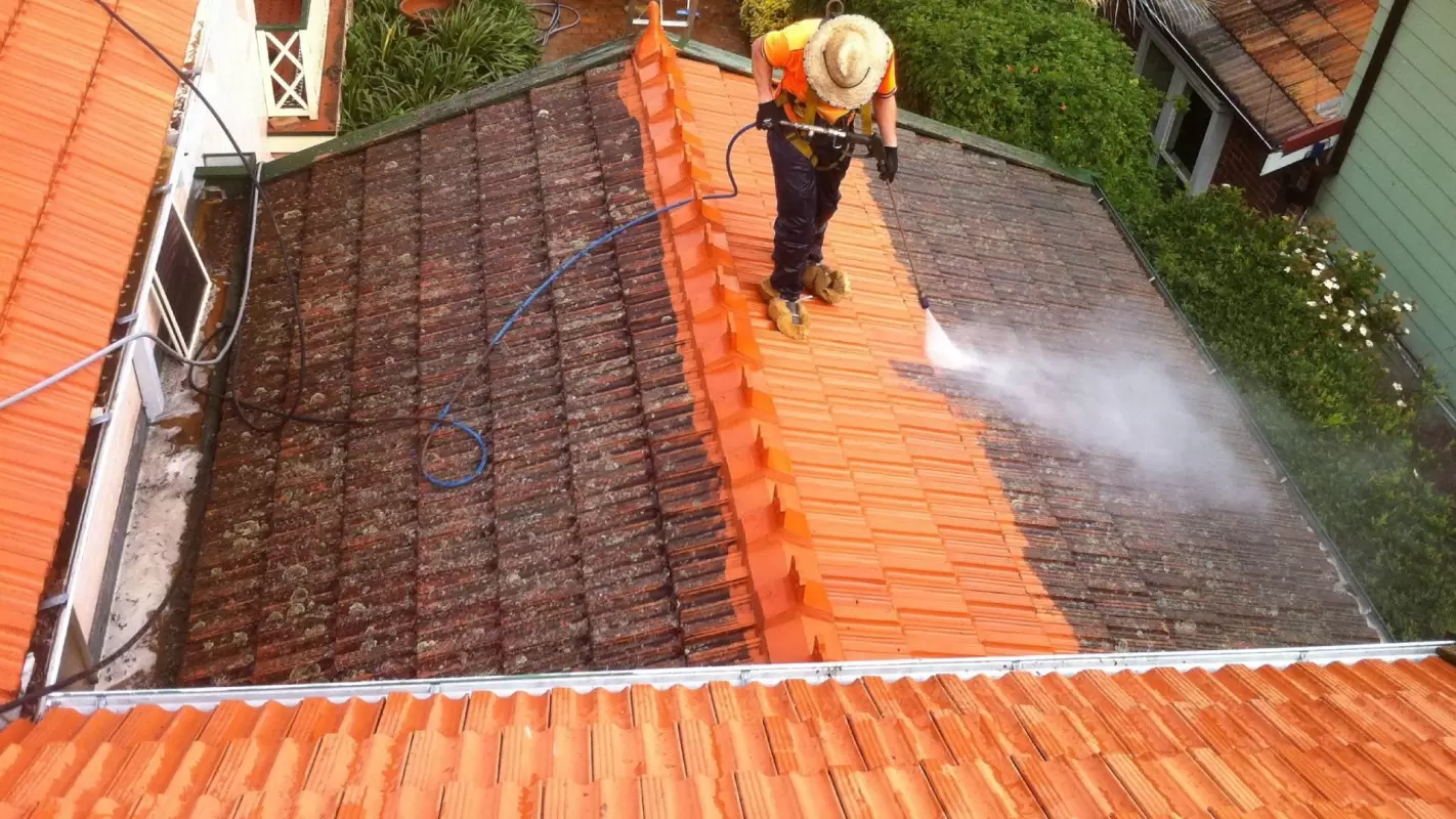 From Driveway to Rooftop, We Offer Residential Power Washing Services