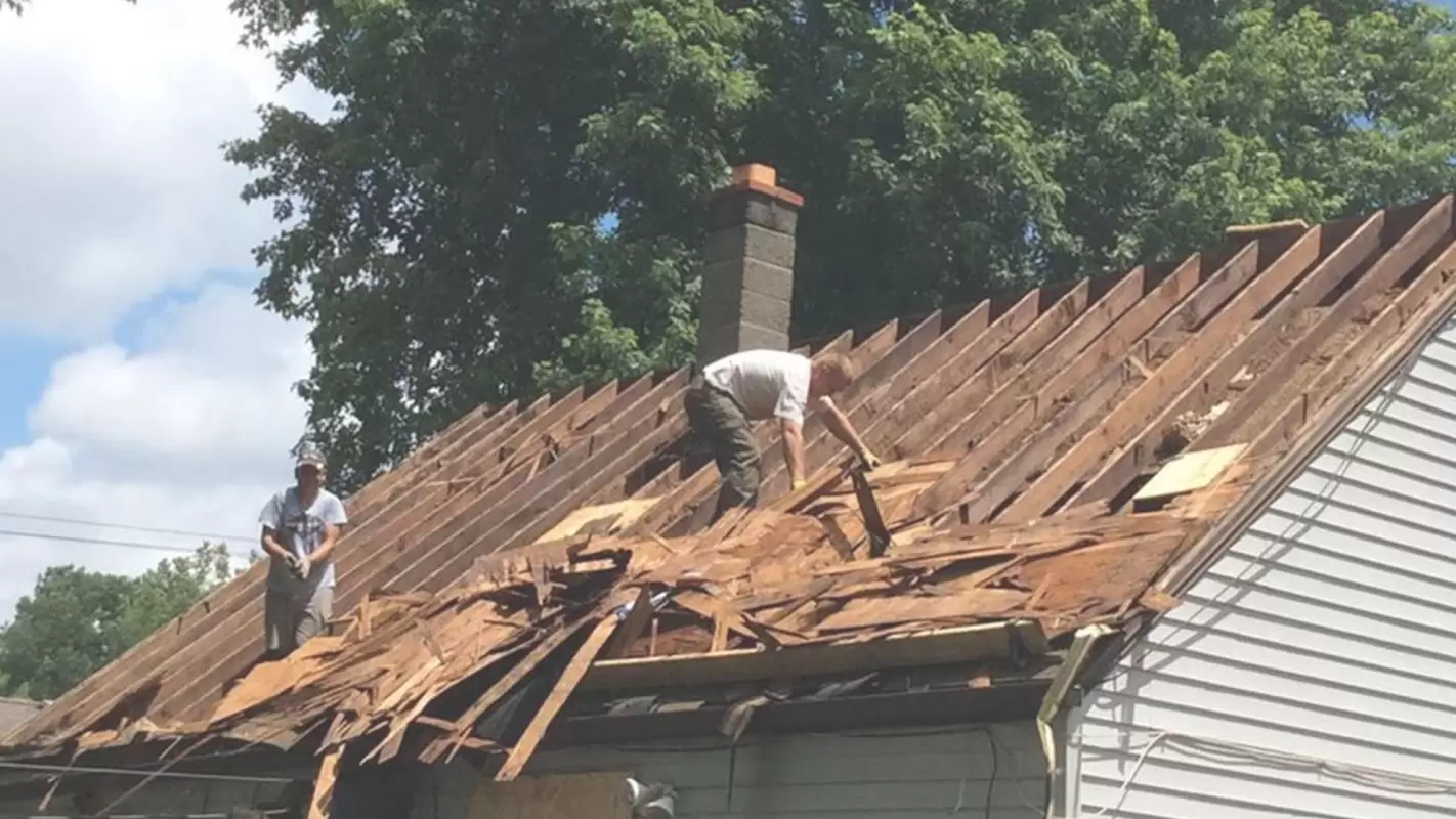 Professional Roofing Contractors That Go Above And Beyond Your Expectations