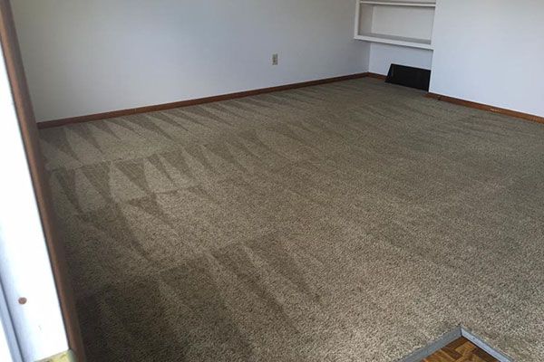 Carpet Cleaning cost