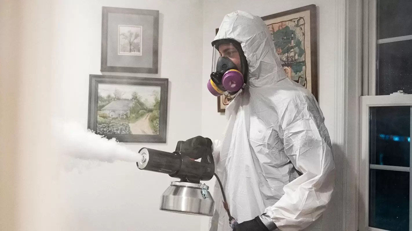 Leave Your Property’s Smoke Odor Removal to Us