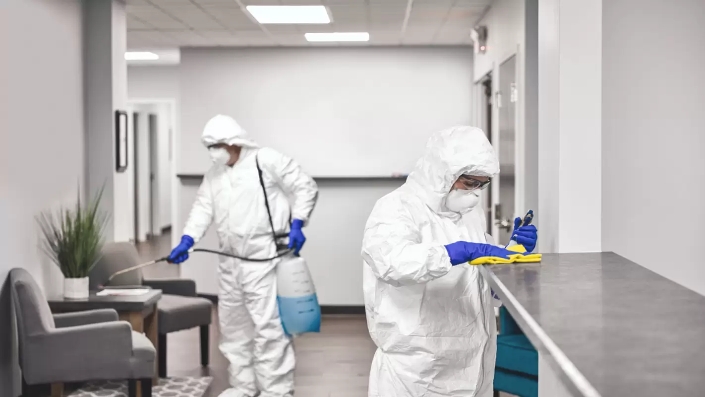 Expert Odor Removal Services at Your Disposal