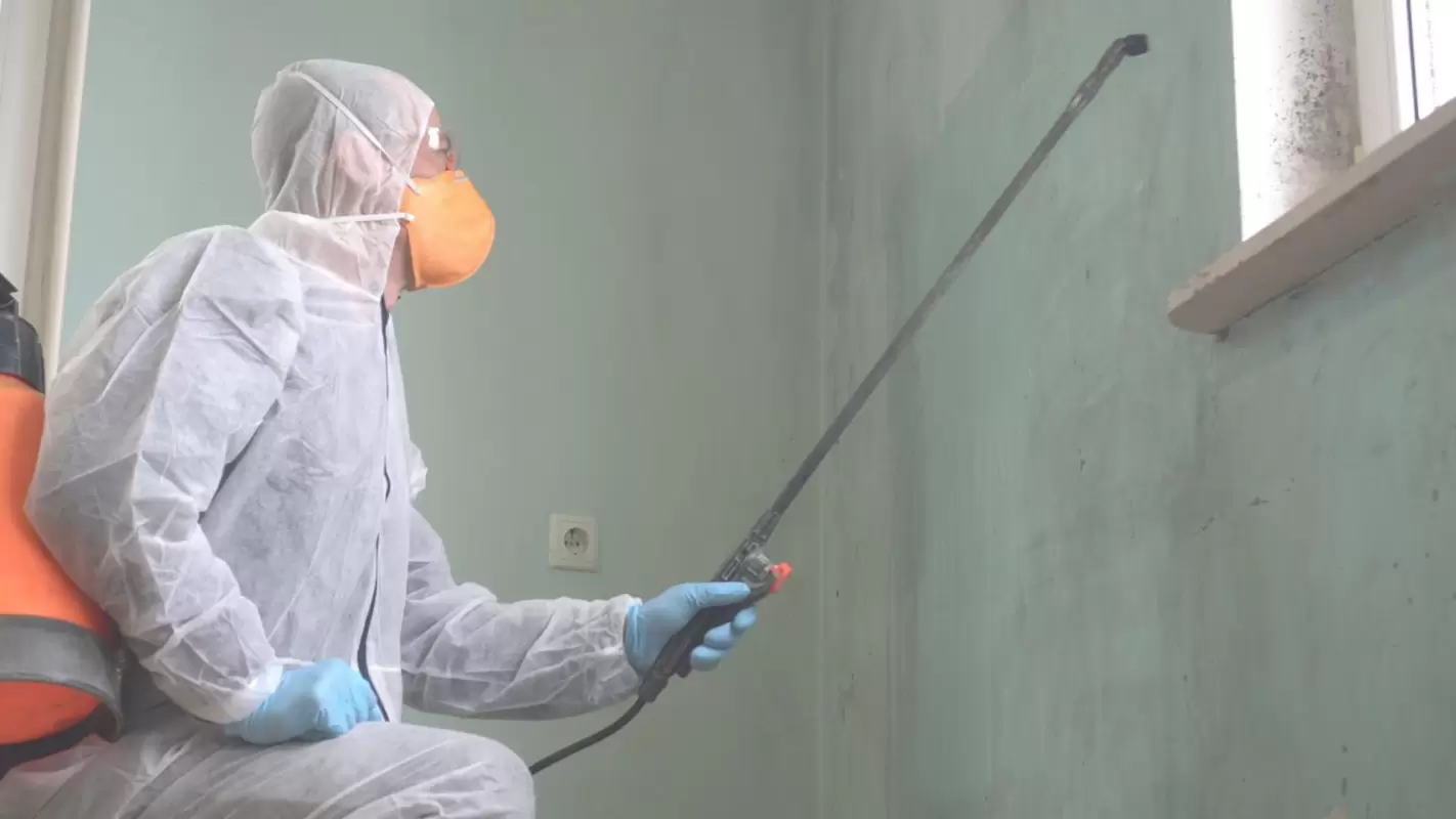 Certified Mold Remediation Services That Completely Wipe Out Mold