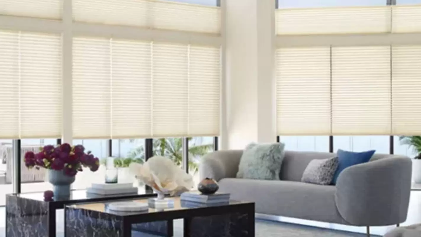 Transparent Certified Hunter Douglas Motorization Installers