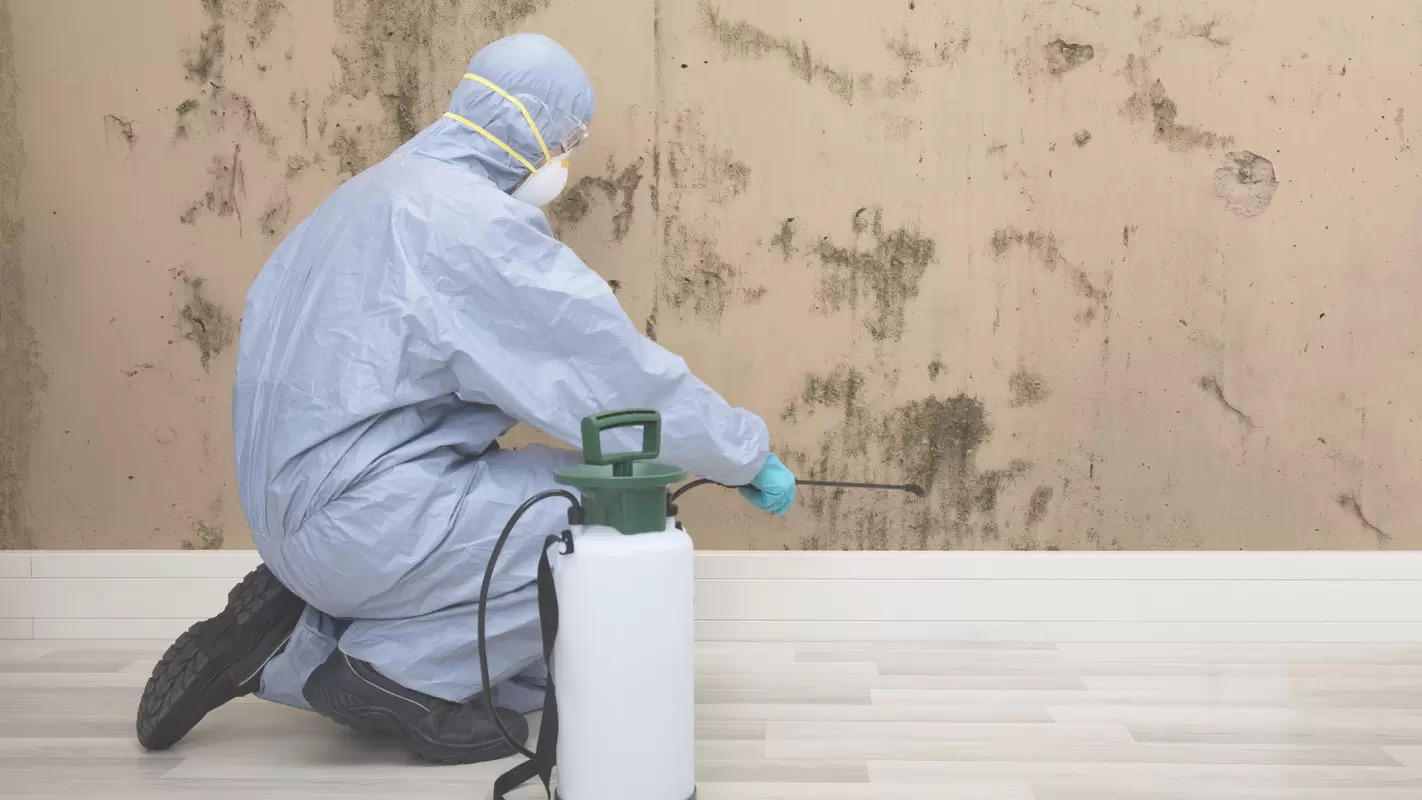 Supreme mold remediation services!