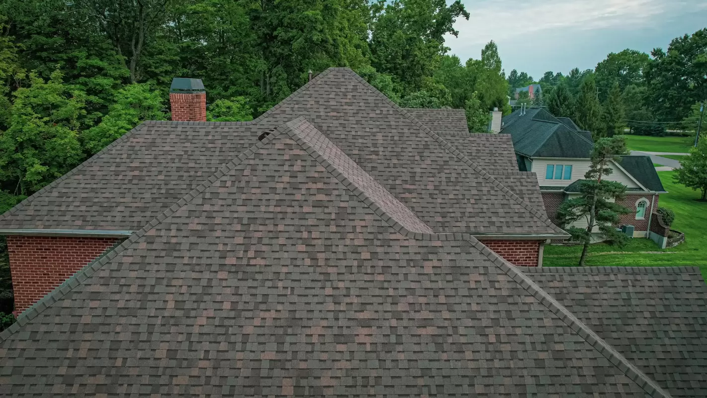 Weatherproofing Your Home With Trusted Local Roofing Services