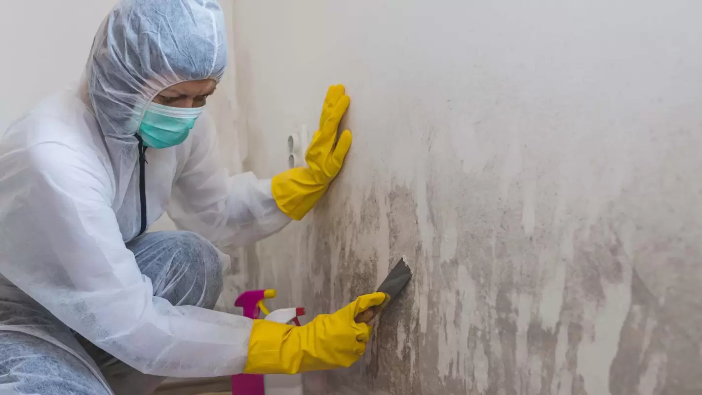 Mold Removal – Mitigating Health Risks!