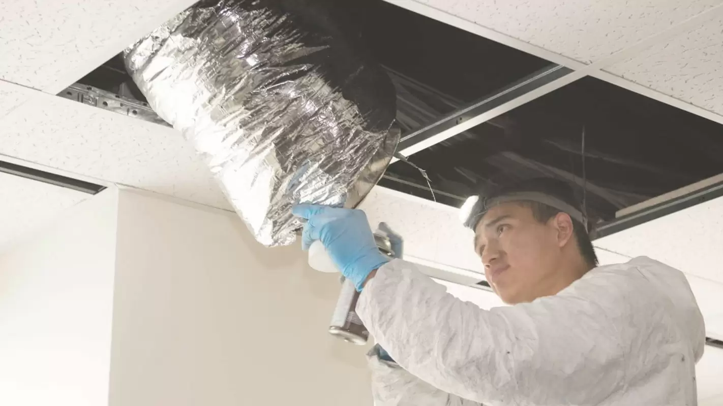 Refresh your indoor air quality with ductwork cleaning services.