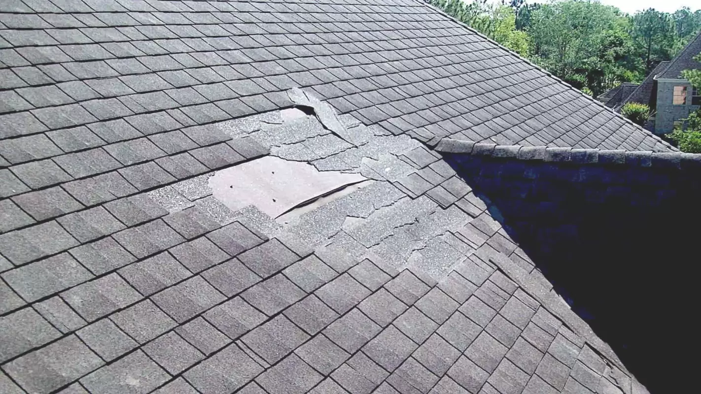 You Have Found The Best Roof Hail Damage Repair Services!