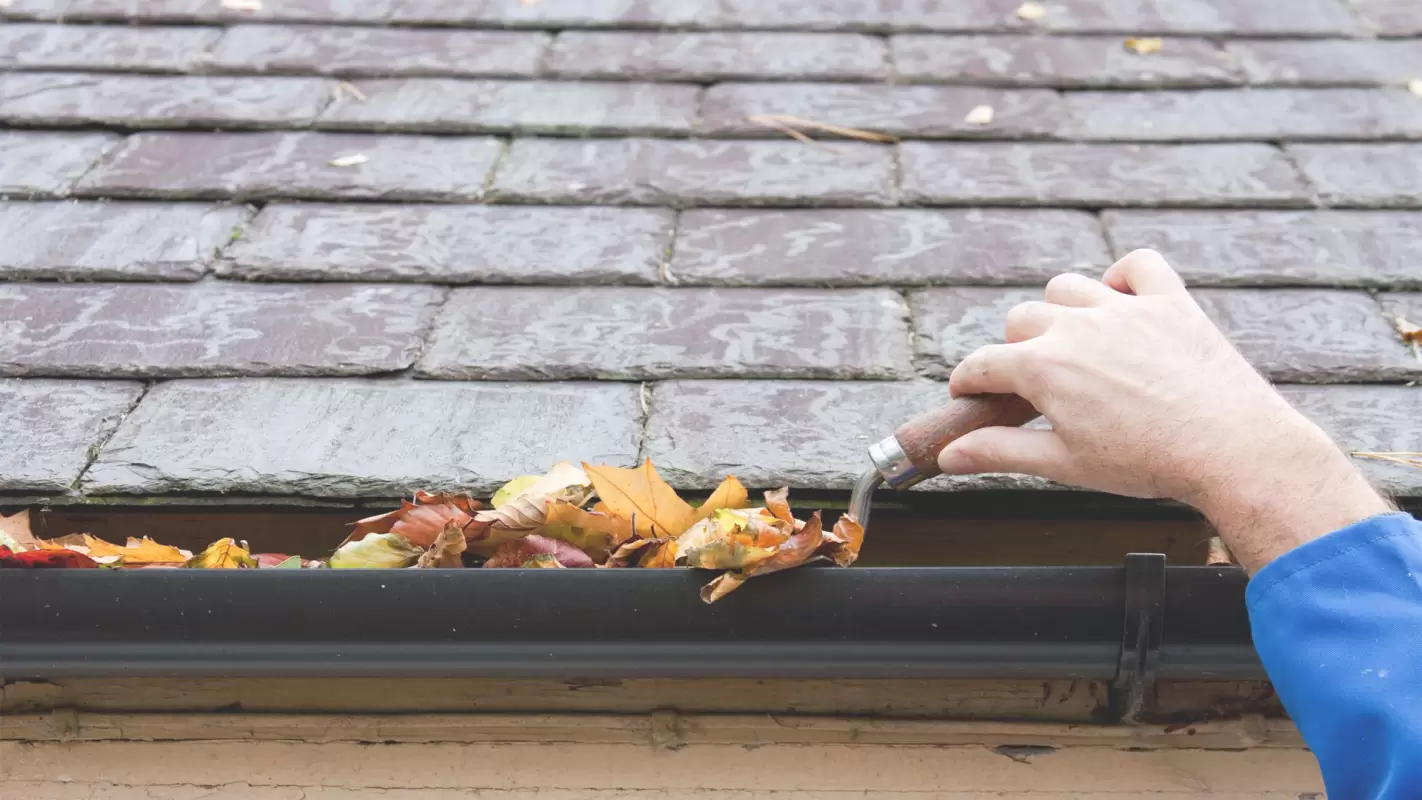 Gutter cleaning should only be done by professionals!