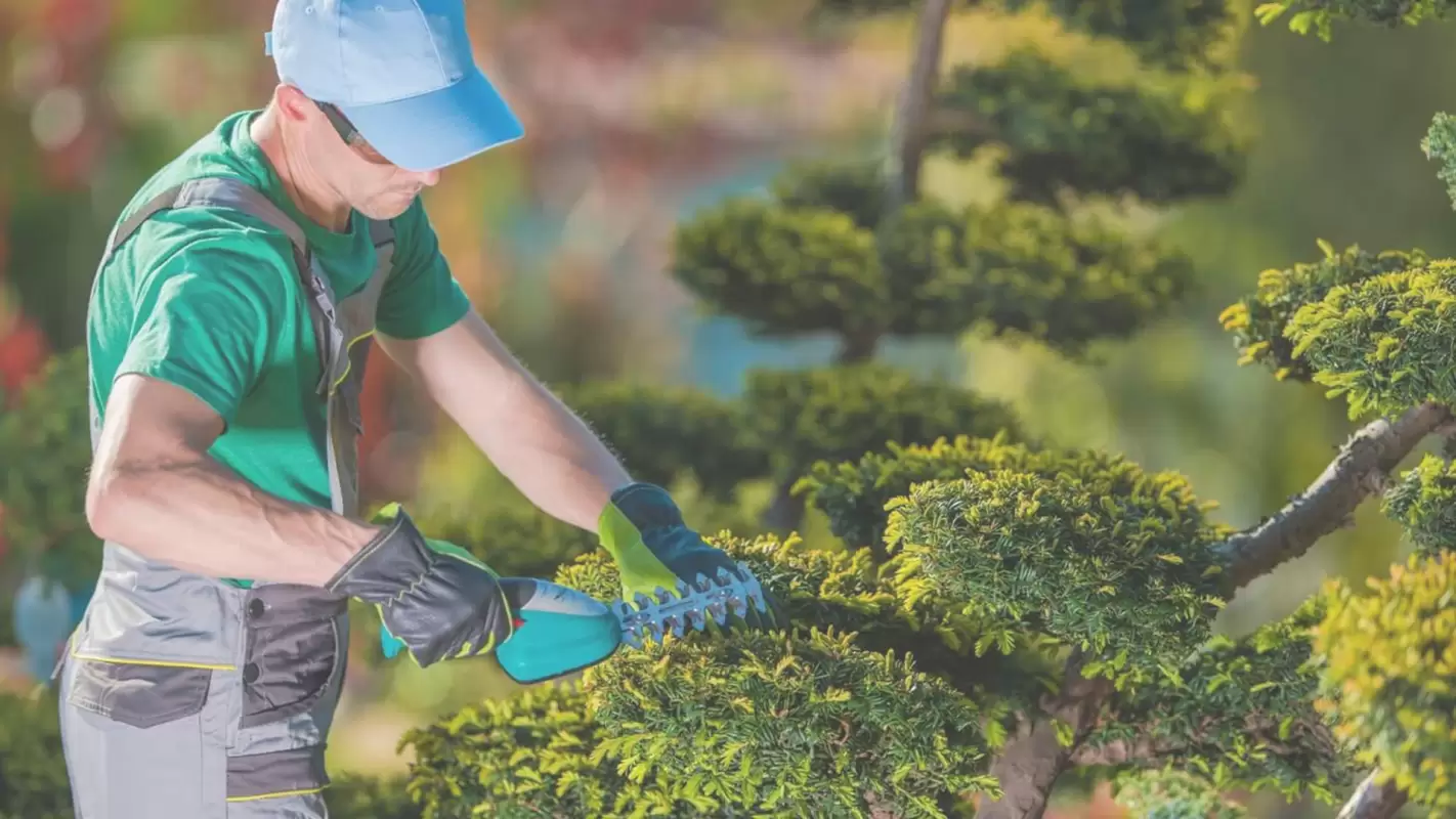 Hire American Outdoor for Worry-Free Landscaping Services