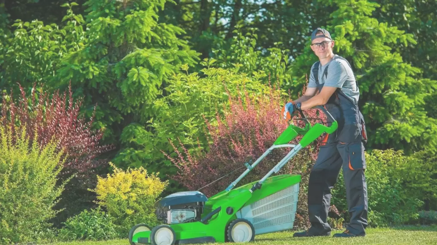 We’re the Right Specialists for Lawn Care Services!